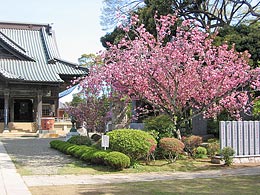 Sogo Reido Sanctuary 경내