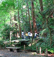 公園を散策する人々