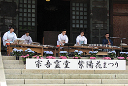 자양화 축제