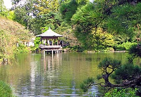 Floating temple of the early fall