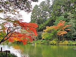 秋の公園