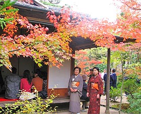 단풍 축제의 “다과회”