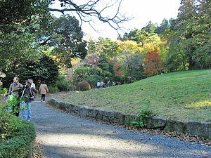 公園散策