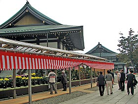 成田山Naritasan Shinshoji Temple Chrysanthemum Exhibition的樣子02