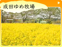 Narita Yume Bokujo (Narita Dream Dairy Farm)