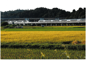 2025photocon_summerichiji05.jpg