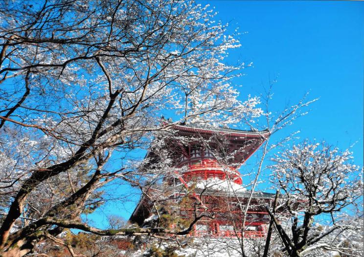 2025photocon_winterichiji03