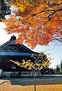 Autumn part case choice [colored leaves of the Sogo Reido Sanctuary] Masahiko Koda (Narita city)