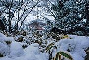 冬の部　入選　【細雪】田村雅彦（印旛郡酒々井町）