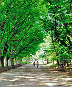 Summer part fine work [the Imperial Stock Farm of the early summer] Yukio Nitta (Yachimata-shi)