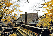 Autumn part fine work [the precincts shining in ginkgo autumn colors!] Isami Sasaki (Chiba-shi)