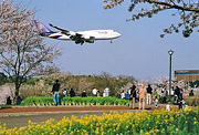 ส่วนรางวัลชมเชย [ Sakura No Yama Park ความเจริญรุ่งเรือง] มะซะยุคิ นะมิคิ (อำเภอ ซะนมุ) ของฤดูหนาว