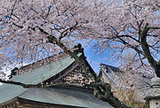 Part fine work [Sogo Reido Sanctuary of the early spring] Kazunori Hayashi (Inzai-shi) of the winter