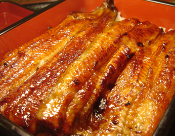 unagi_s