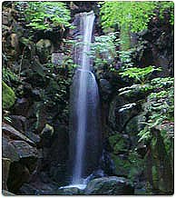 Waterfall of the donation