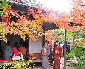 "A tea party" of the colored leaves Festival