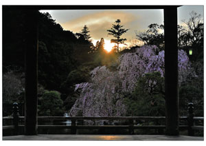 2025photocon_springichiji05.jpg