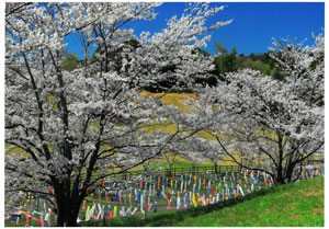 2025photocon_springichiji06.jpg