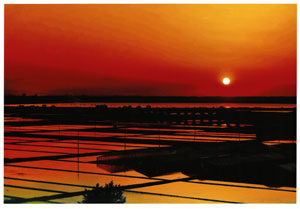 2025photocon_springichiji09.jpg