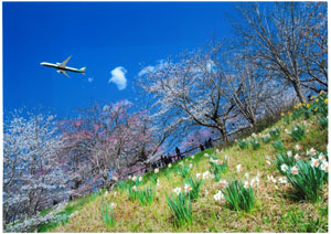 2025photocon_springichiji10.jpg