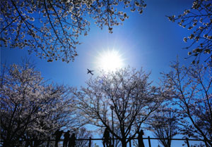 2025photocon_springichiji11.jpg