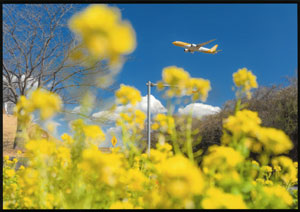 2025photocon_springichiji12.jpg
