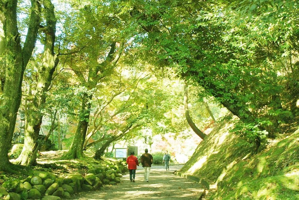 成田山公園 Feel成田成田市觀光協會官方網站 成田山公園 Feel成田成田市觀光協會官方網站